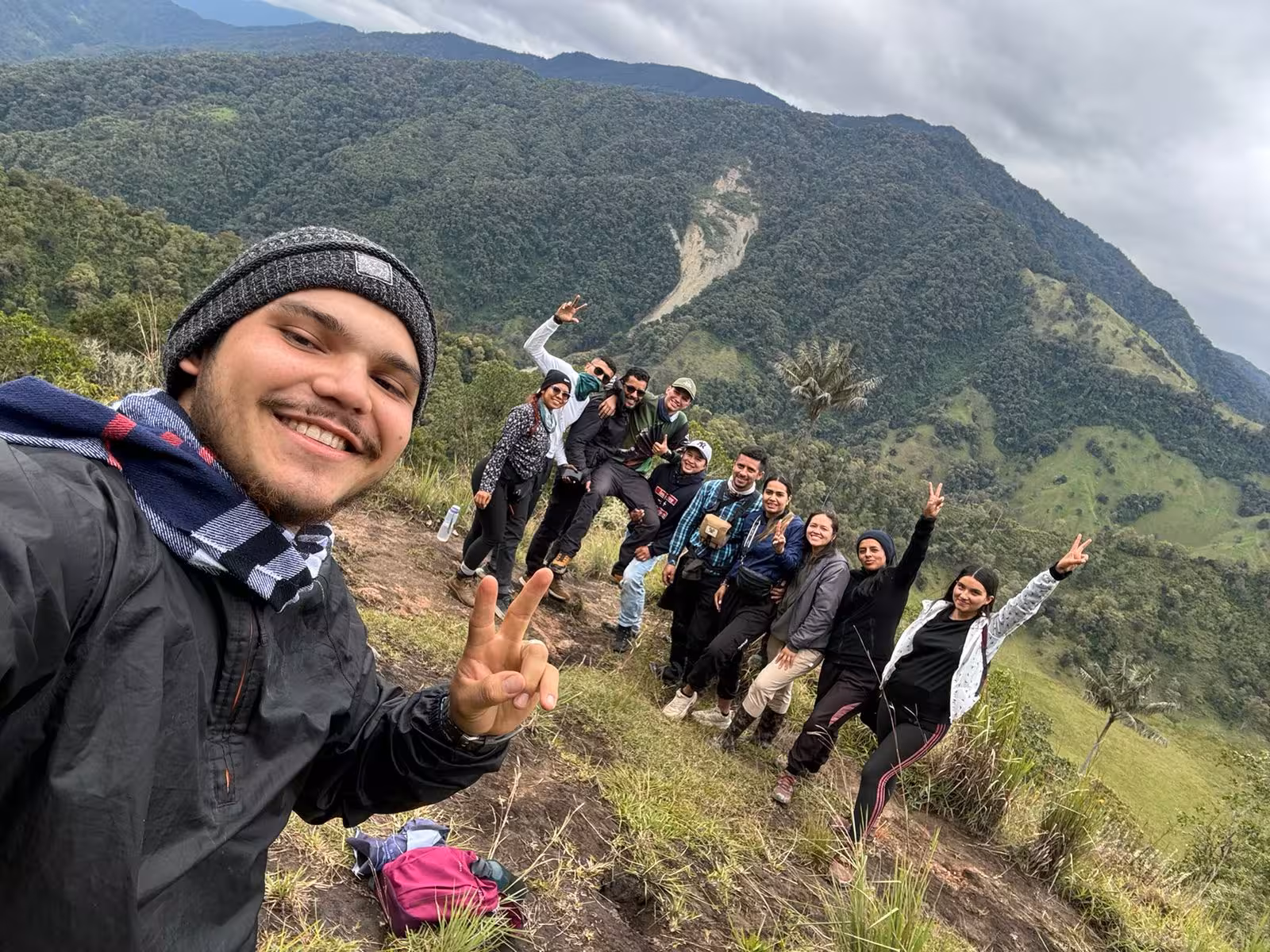 Bosque de palma y Volcán Cerro Machín